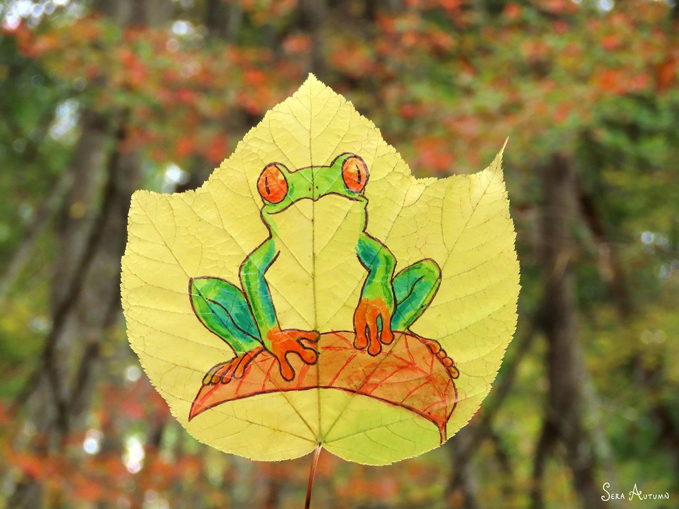 A green red-eyed tree frog with orange feet drawn on a pale yellow leaf against blurred autumn foliage, by Sera Autumn