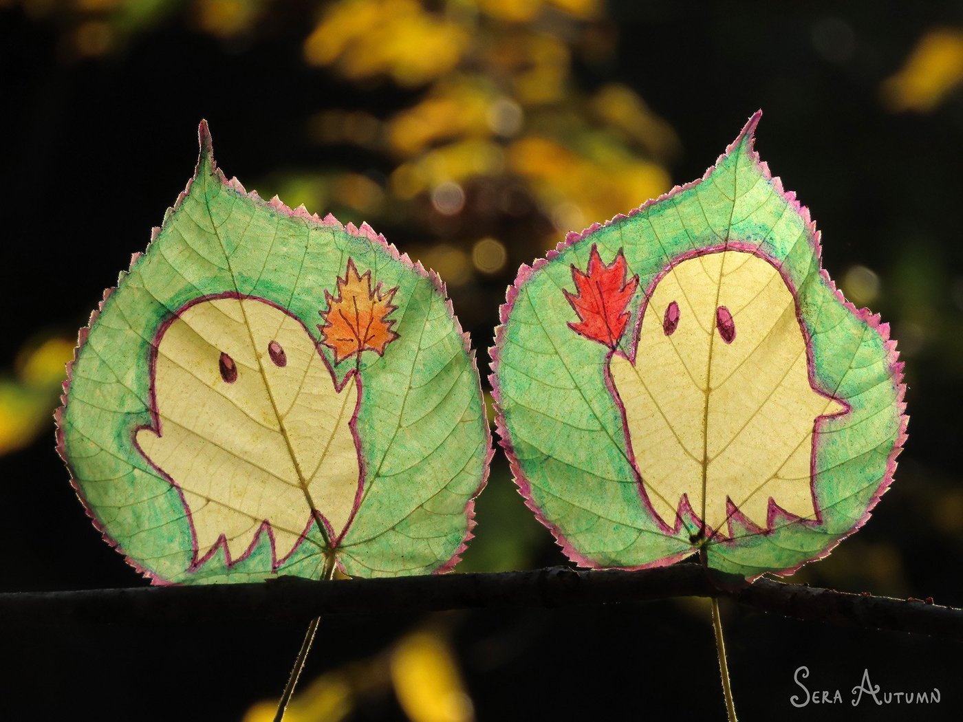 Two cute white ghosts with maple leaves, drawn in pink and green on a pair of leaves against dark bokeh, by Sera Autumn
