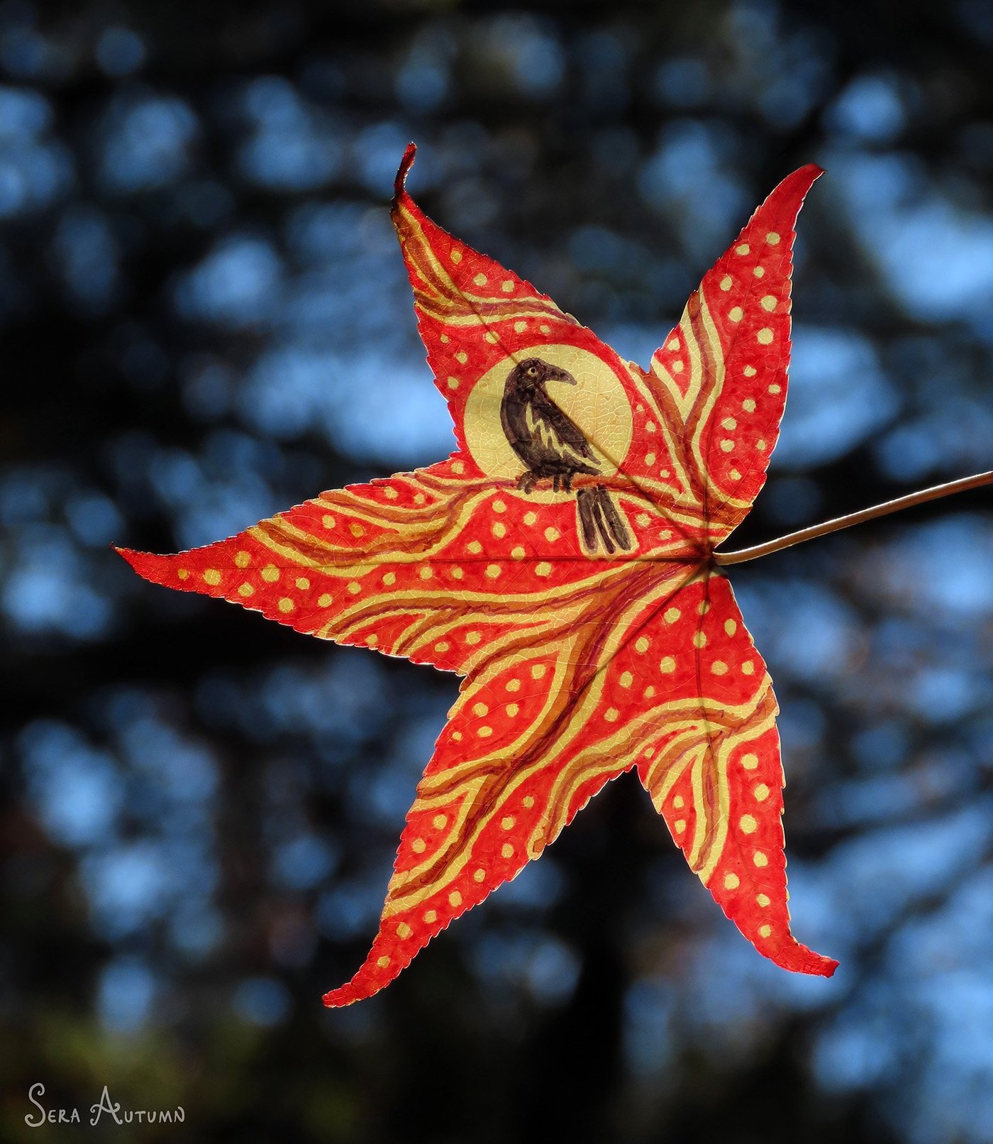 A black raven perched before a pale moon on a red sweetgum leaf patterned with golden swirls and dots, against blue forest bokeh, by Sera Autumn