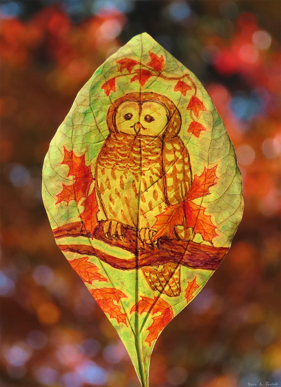A barred owl perched on a branch amid orange maple leaves, drawn on a green leaf against fiery autumn bokeh, by Sera Autumn