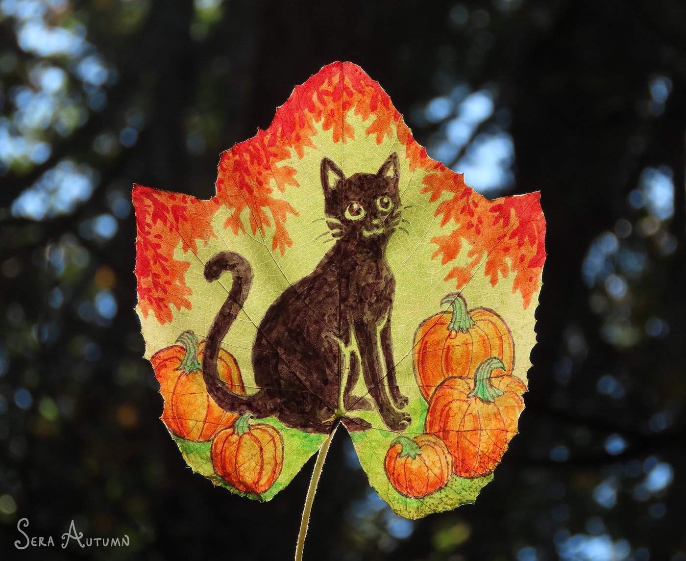 A black cat sitting among orange pumpkins with red foliage above, drawn on a green maple leaf against dark forest bokeh, by Sera Autumn