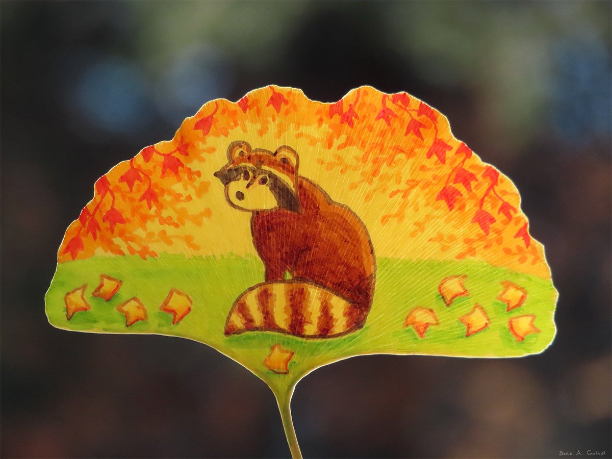A brown raccoon sitting on green grass before orange autumn trees, drawn on a yellow ginkgo leaf against dark bokeh, by Sera Autumn
