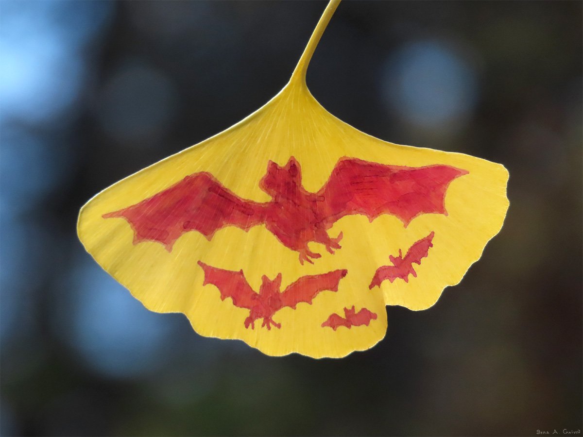 A flock of red bats in flight silhouetted on a bright yellow ginkgo leaf, against blurred blue dusk forest bokeh, by Sera Autumn