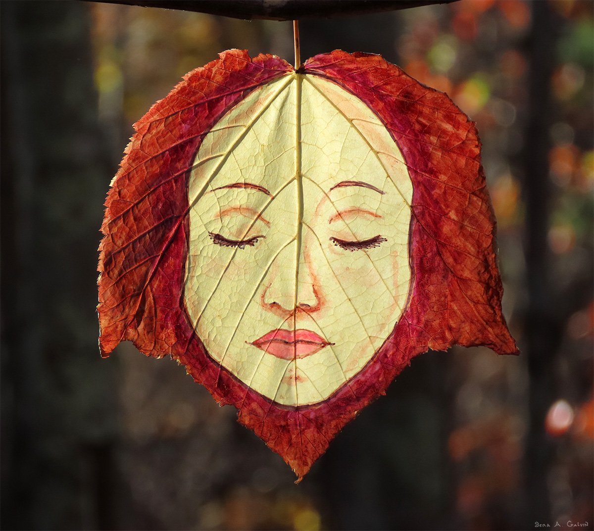 A serene woman's face with closed eyes drawn on a pale leaf, framed by deep brown hair, against autumn bokeh, by Sera Autumn