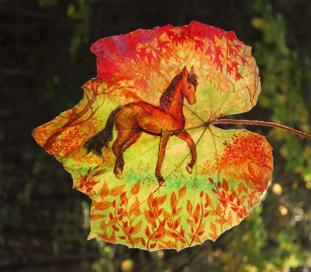 A chestnut horse trotting among autumn foliage, drawn on a yellow striped maple leaf against dark bokeh, by Sera Autumn