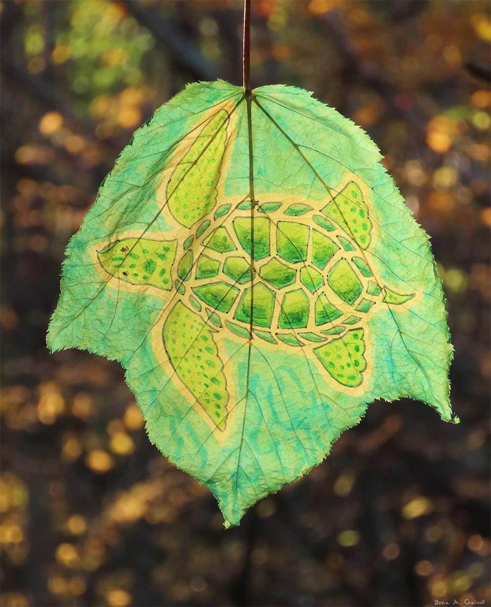 A green sea turtle with a patterned shell, drawn on a teal-green backlit leaf against golden forest bokeh, by Sera Autumn