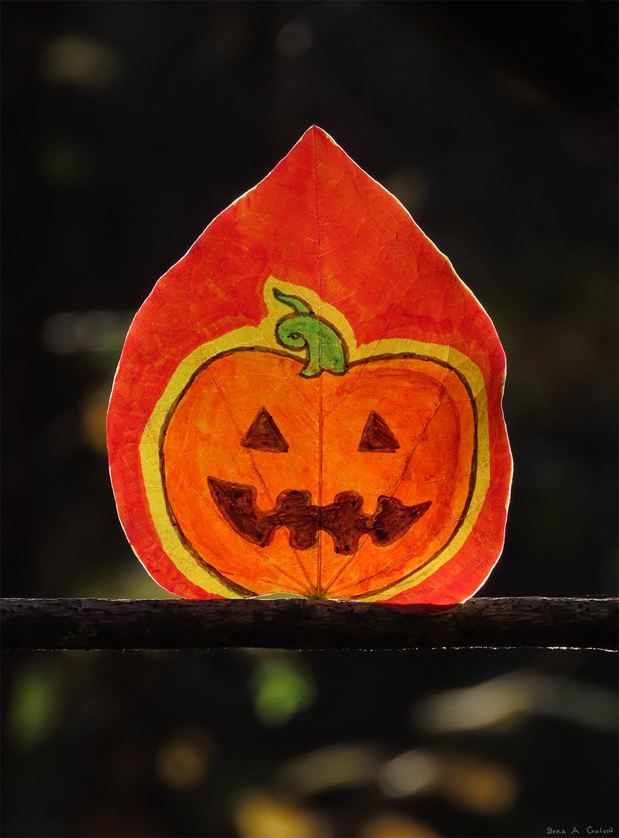 A grinning orange jack-o'-lantern pumpkin drawn on a red heart-shaped redbud leaf against dark bokeh, by Sera Autumn