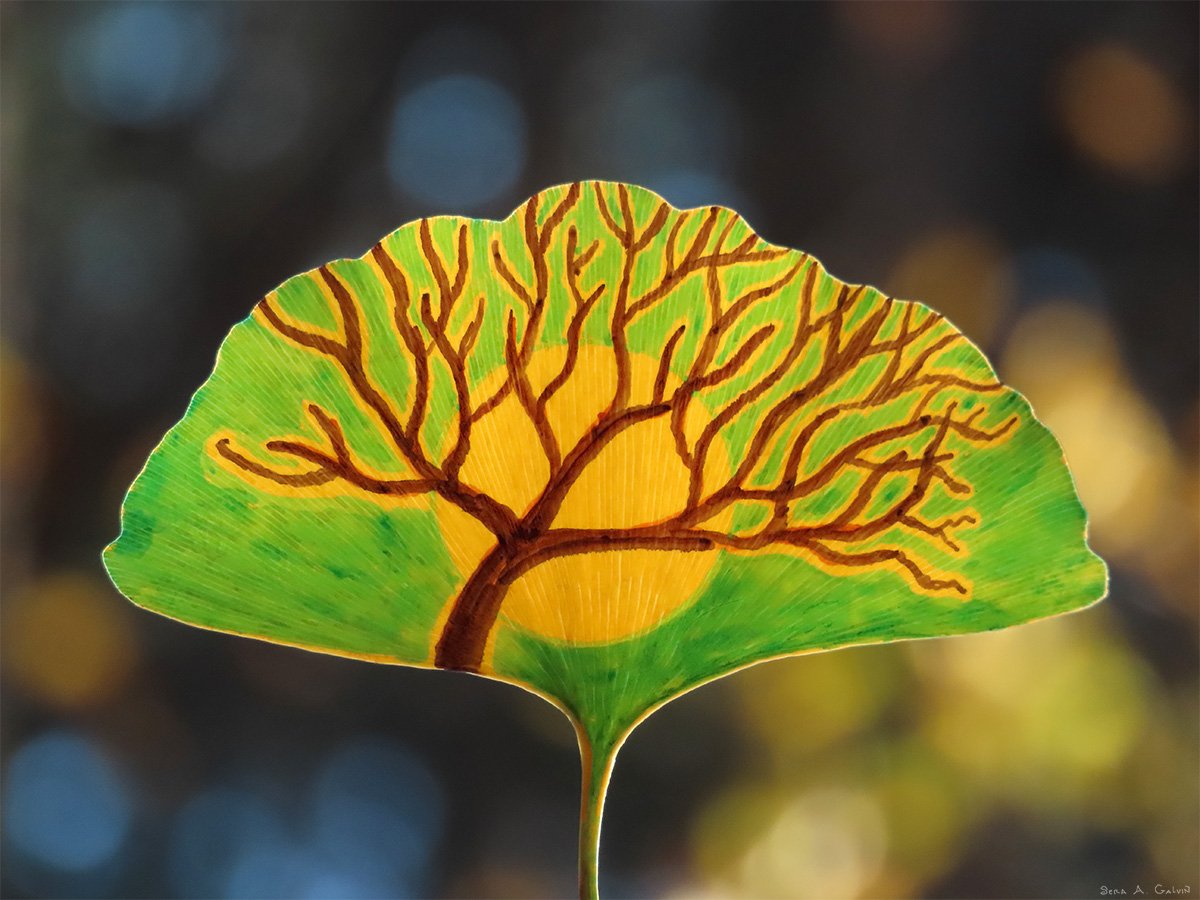 A bare-branched tree silhouetted over a golden moon, drawn on a green ginkgo leaf against blue-gold bokeh, by Sera Autumn
