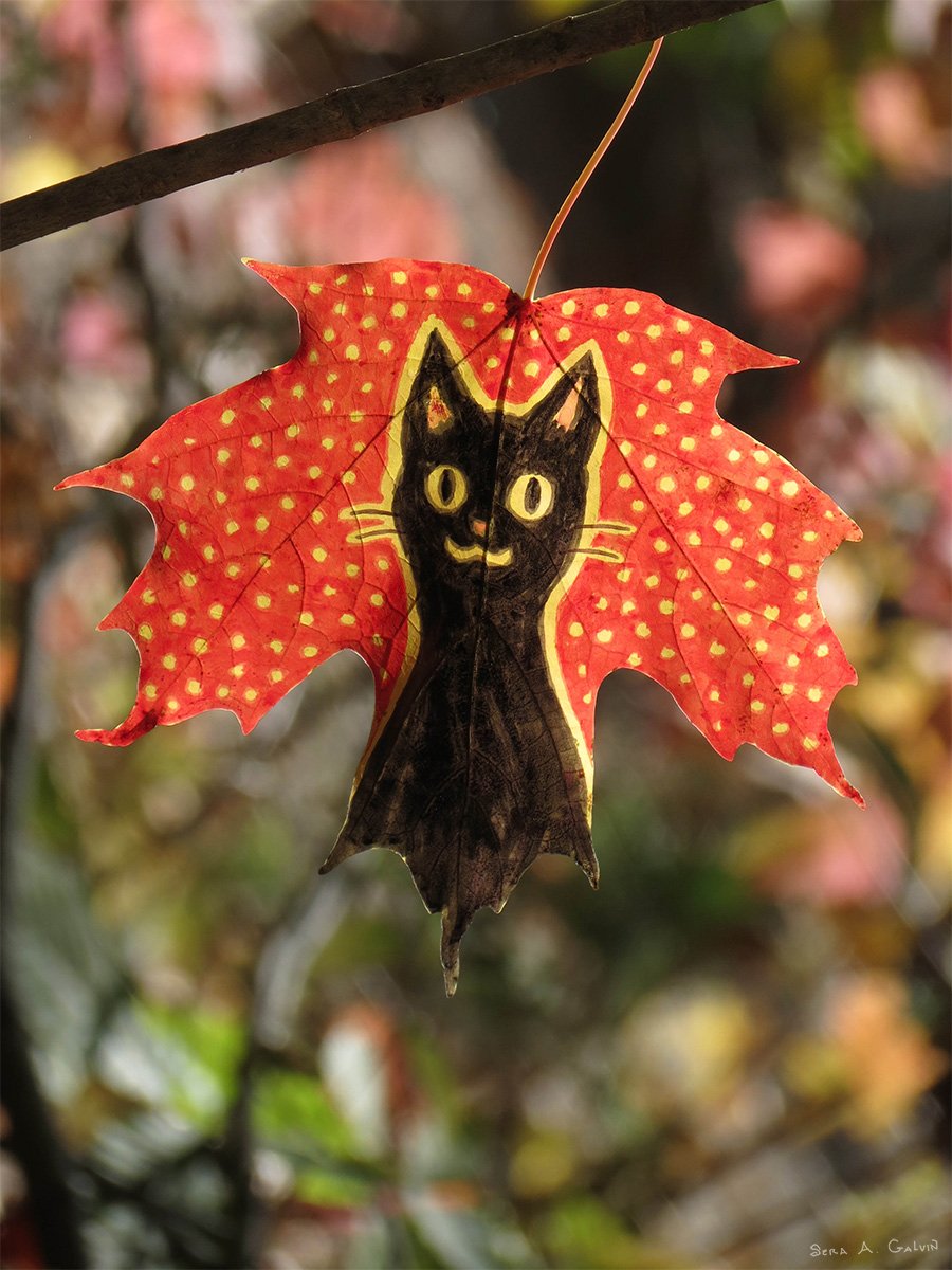 A wide-eyed black cat drawn on a red yellow-dotted maple leaf hanging from a twig against blurred foliage, by Sera Autumn
