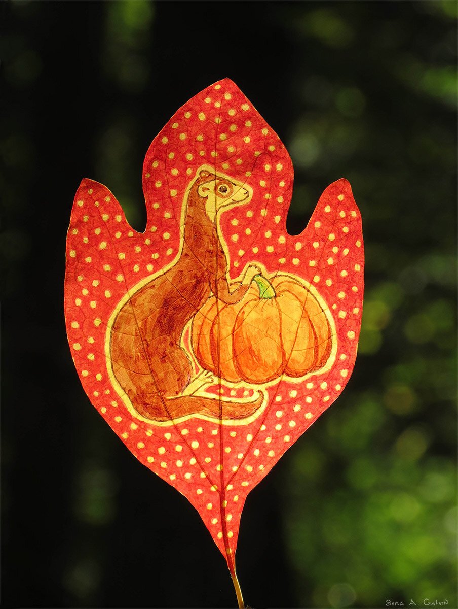 A brown ferret beside an orange pumpkin, drawn on a red polka-dotted leaf against dark green forest, by Sera Autumn