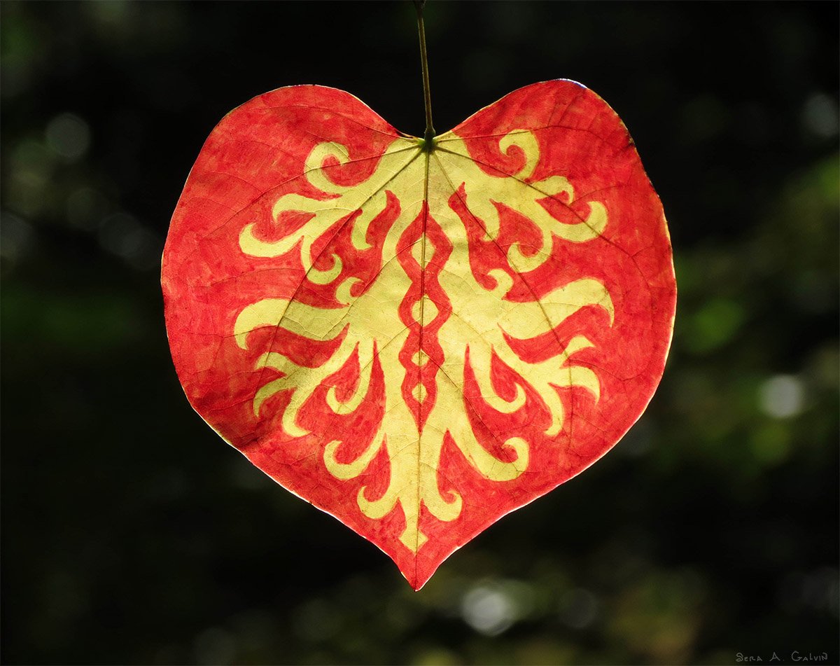 A red heart-shaped leaf drawn with a symmetrical yellow flame-like pattern in a vaguely humanoid shape, backlit against dark green bokeh, by Sera Autumn