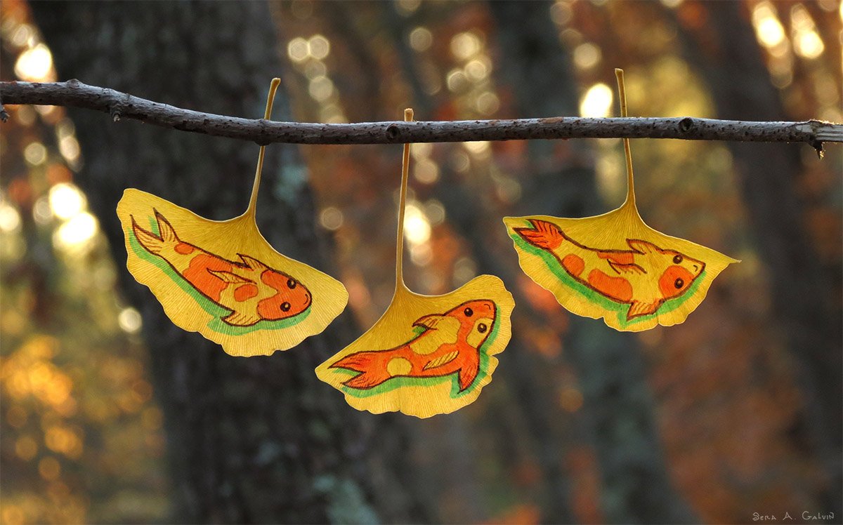Three yellow ginkgo leaves drawn with orange koi fish, hung from a bare branch against golden forest bokeh, by Sera Autumn