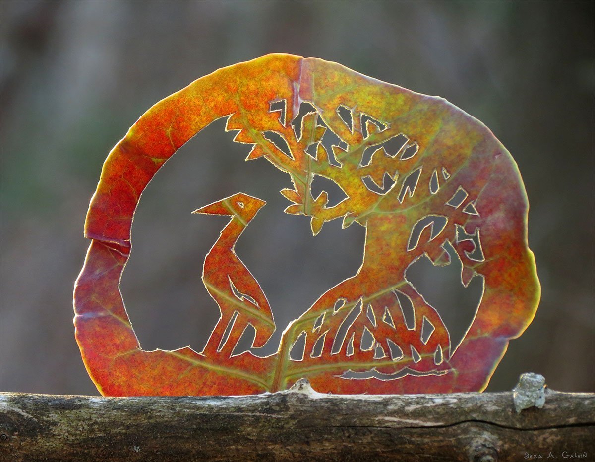 A red-orange leaf intricately cut to show a heron standing beside a mangrove tree, perched on a log against soft grey forest, by Sera Autumn