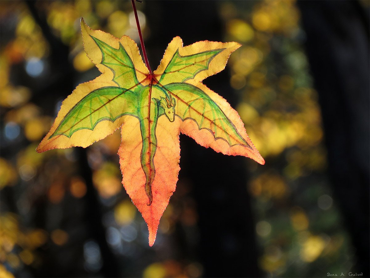 A yellow-and-orange sweetgum leaf drawn with a green winged dragon spreading across its lobes, backlit against golden bokeh, by Sera Autumn