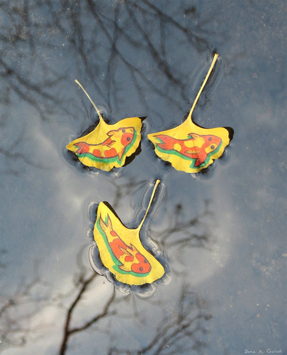 Three yellow ginkgo leaves drawn with orange koi fish, floating on water that reflects bare grey branches, by Sera Autumn