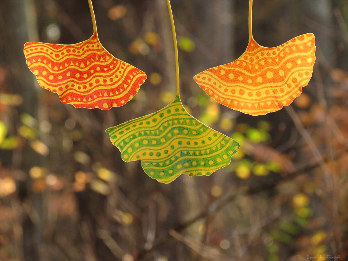 Three ginkgo leaves in red, orange, and green, each drawn with wavy bands of dots and triangles, backlit over autumn woods, by Sera Autumn