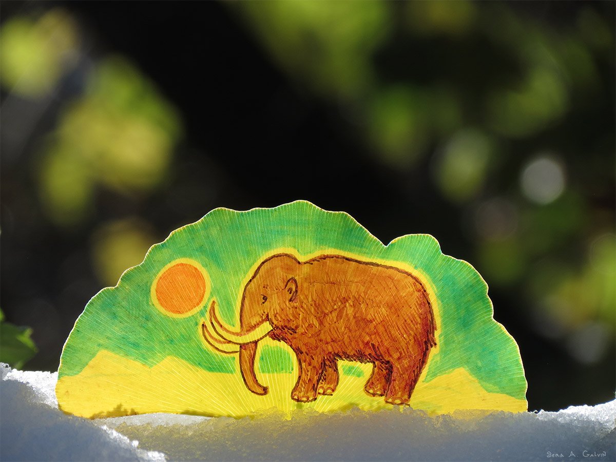 A brown woolly mammoth with curved tusks walking past an orange sun, drawn on a ginkgo leaf resting on snow, by Sera Autumn