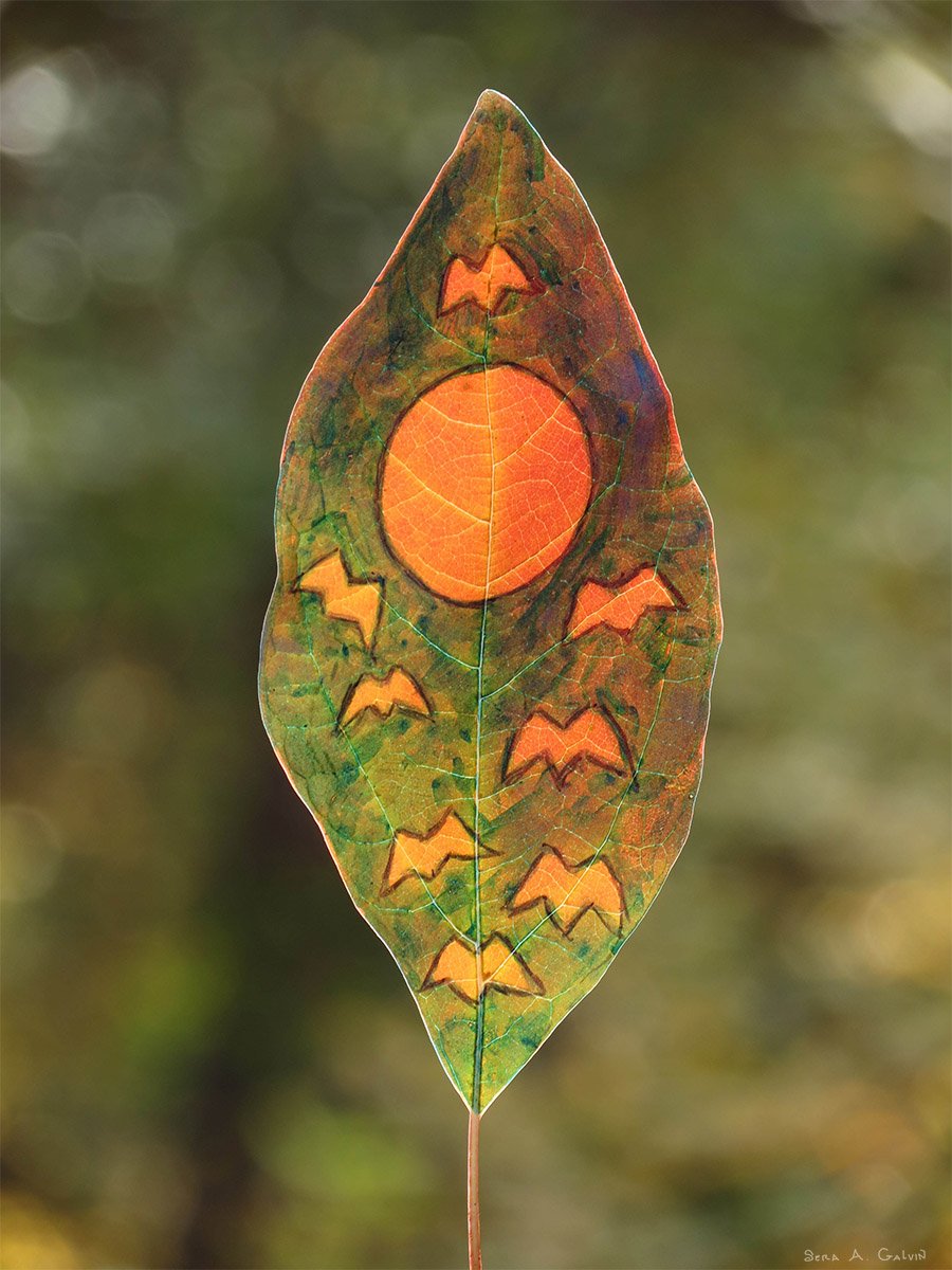 Orange bats flying beneath a glowing orange full moon on a green and brown pointed leaf, backlit against soft green bokeh, by Sera Autumn