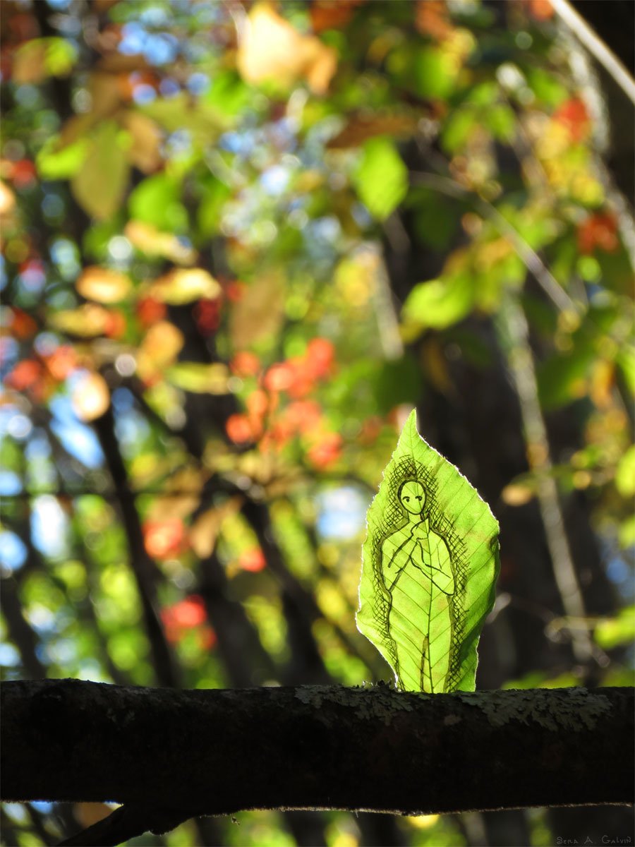 A slender sketched figure with hands clasped drawn on a small green leaf resting on a branch, sunlit forest behind, by Sera Autumn