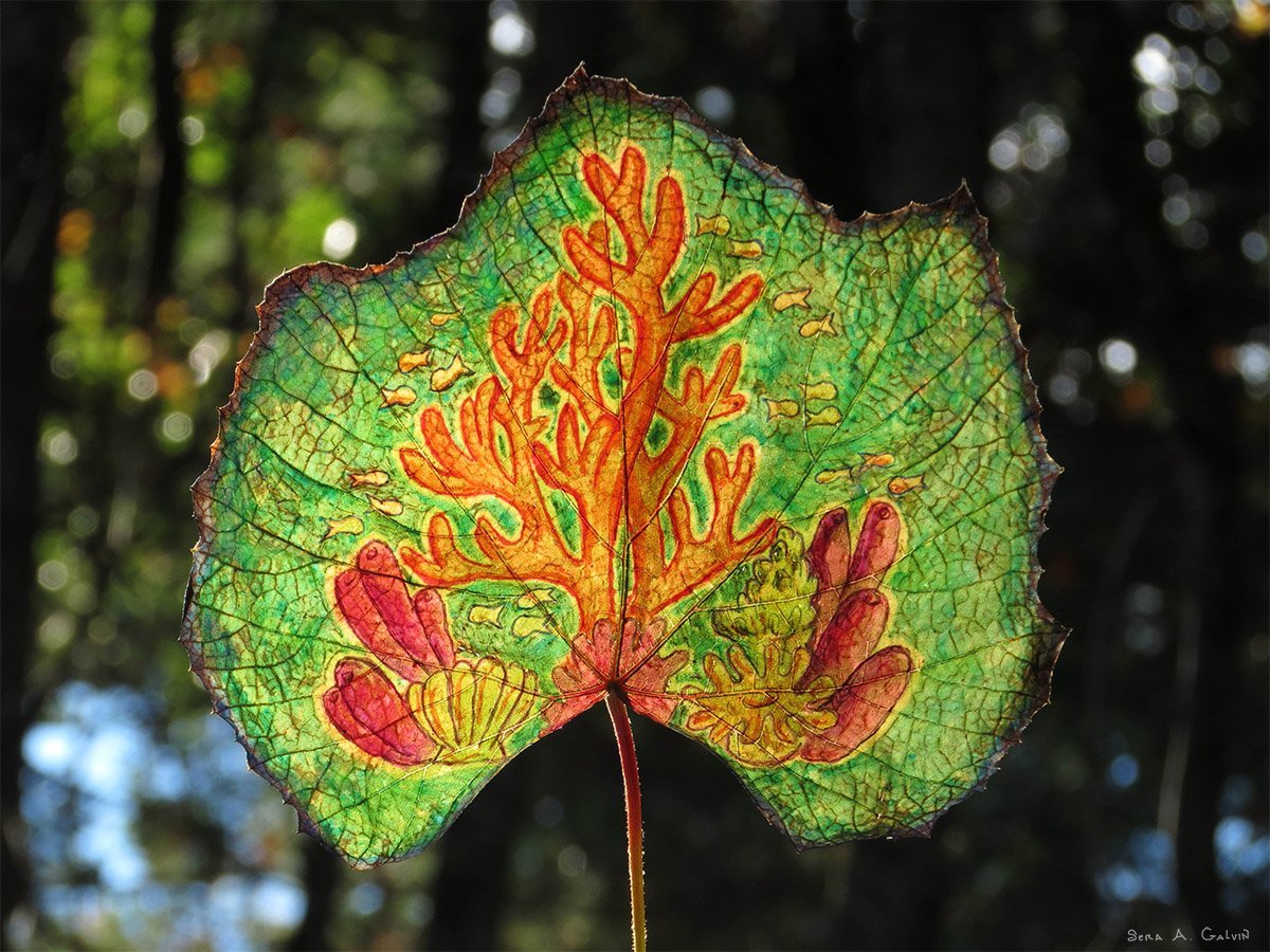 An underwater coral reef scene with orange coral, anemones, shell, and fish drawn on a green backlit grape leaf, by Sera Autumn