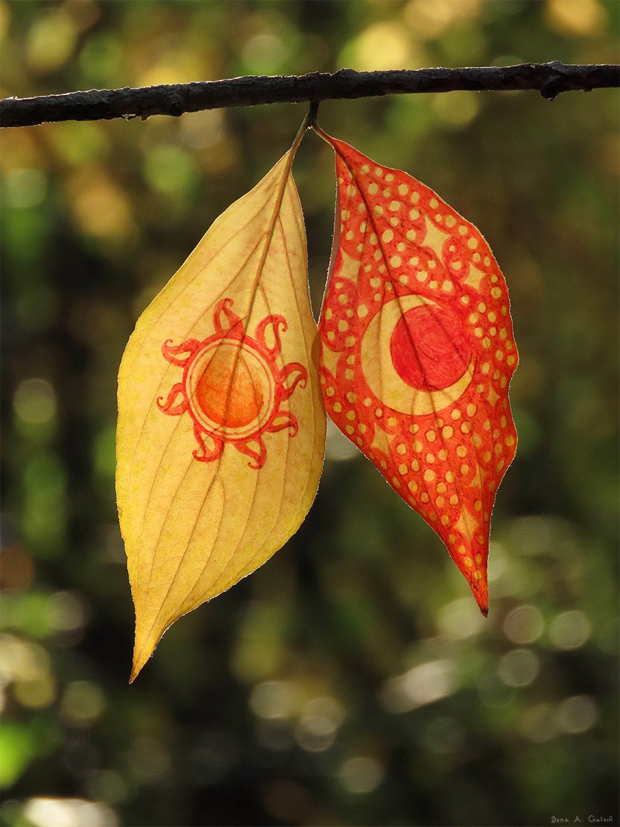 Two leaves on a twig, a yellow one with a red sun and a red spotted one with a crescent-moon eye, against green bokeh, by Sera Autumn