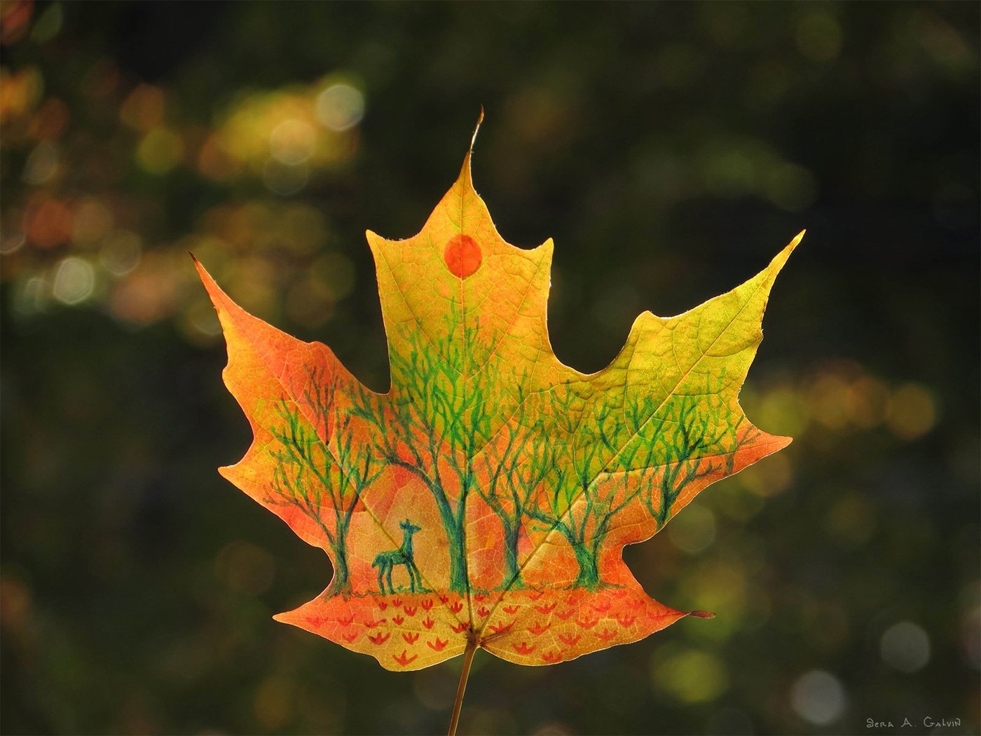 A small deer among bare green trees beneath a red sun, drawn on an orange-yellow maple leaf, by Sera Autumn