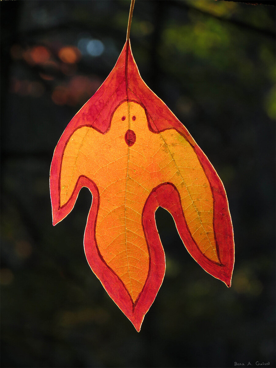 A wide-eyed ghost with an open mouth outlined in red on an orange lobed leaf, backlit against dark bokeh, by Sera Autumn