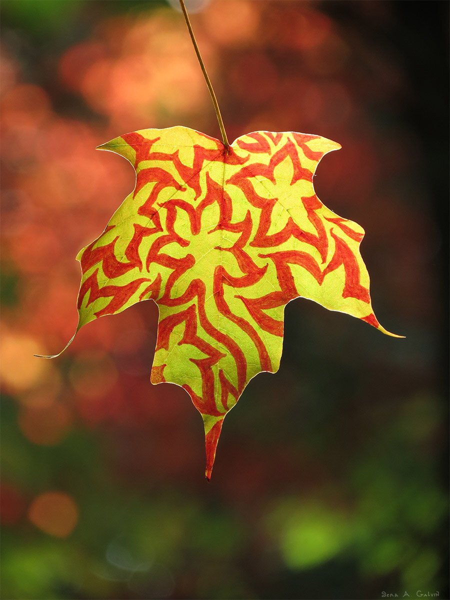 Swirling red flame-and-flower pattern drawn across a yellow maple leaf, backlit against warm autumn bokeh, by Sera Autumn