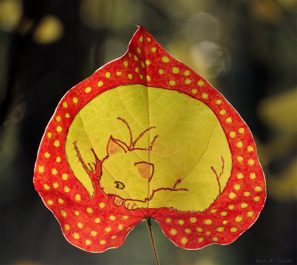 A sleeping curled-up cat drawn in the center of a red polka-dotted leaf, backlit against soft bokeh, by Sera Autumn