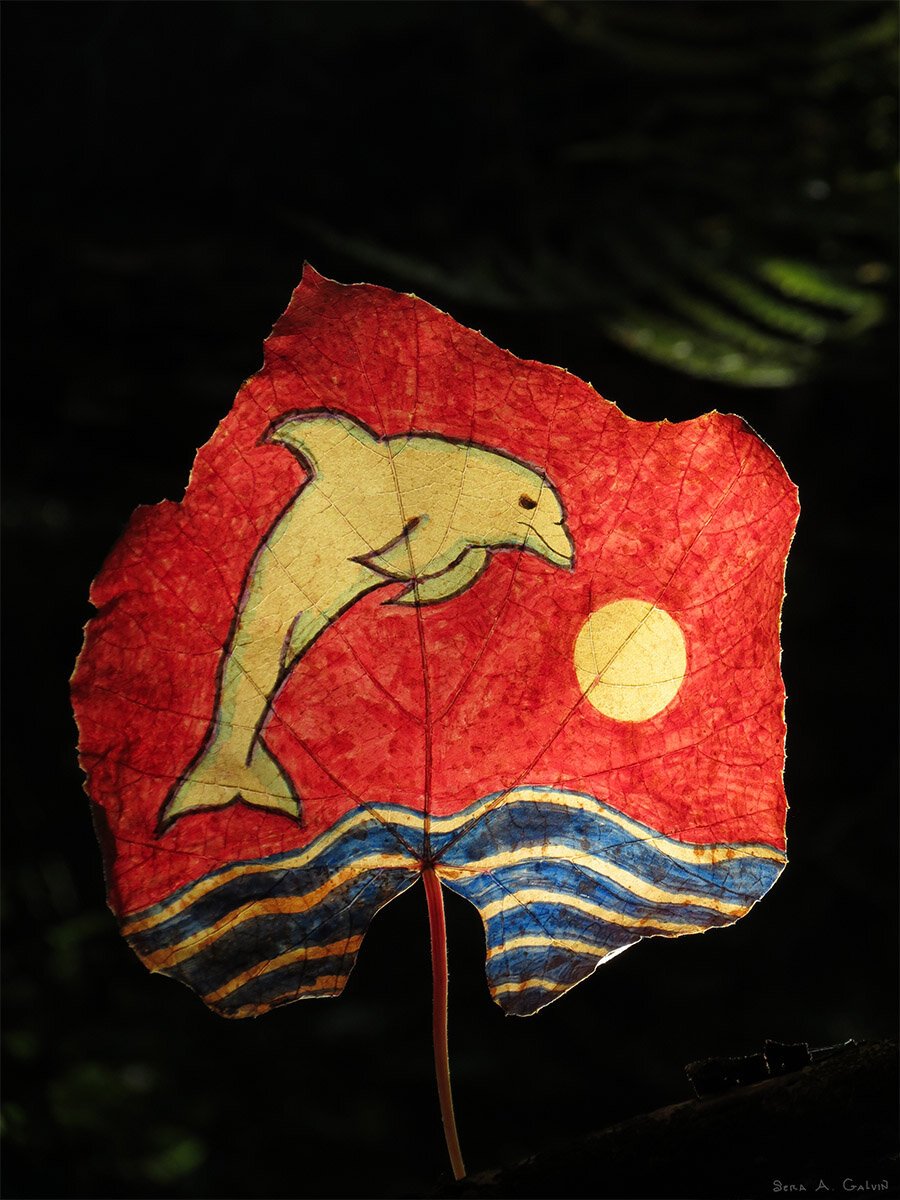 A leaping dolphin over blue waves with a yellow sun, drawn on a red grape leaf against dark background, by Sera Autumn