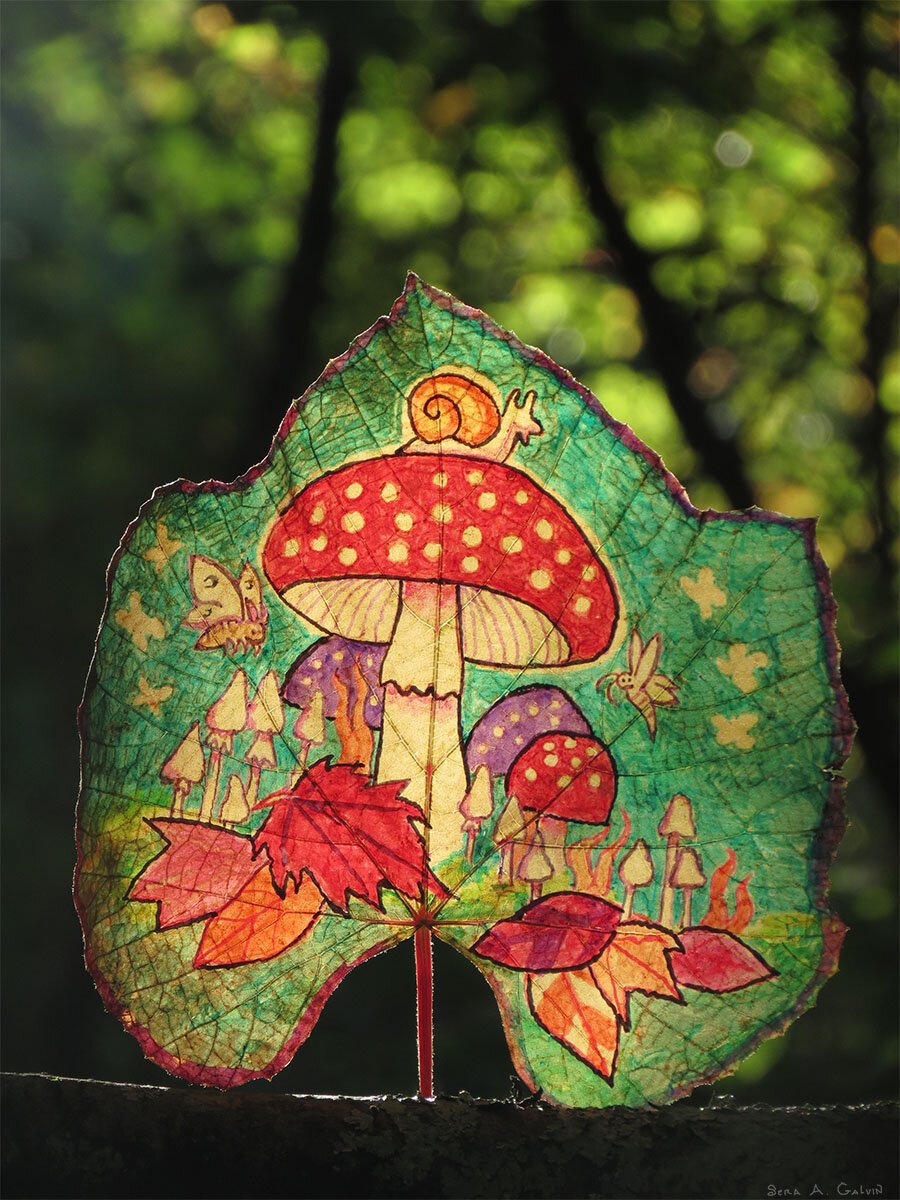 A red polka-dot mushroom with a snail on top, butterfly and toadstools, drawn on a green grape leaf against sunlit forest, by Sera Autumn