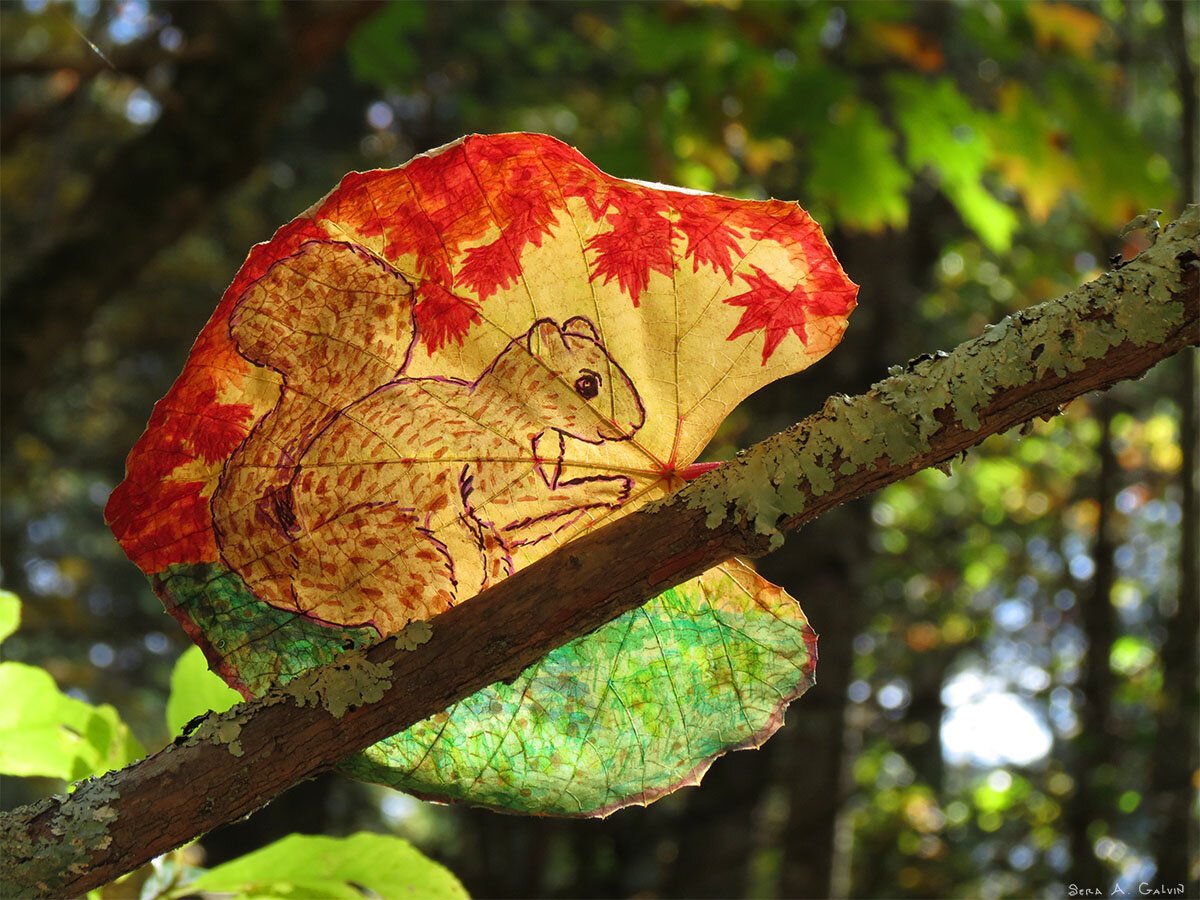 A tan squirrel with a bushy tail drawn among red maple leaves on a yellow leaf perched on a lichen branch, by Sera Autumn