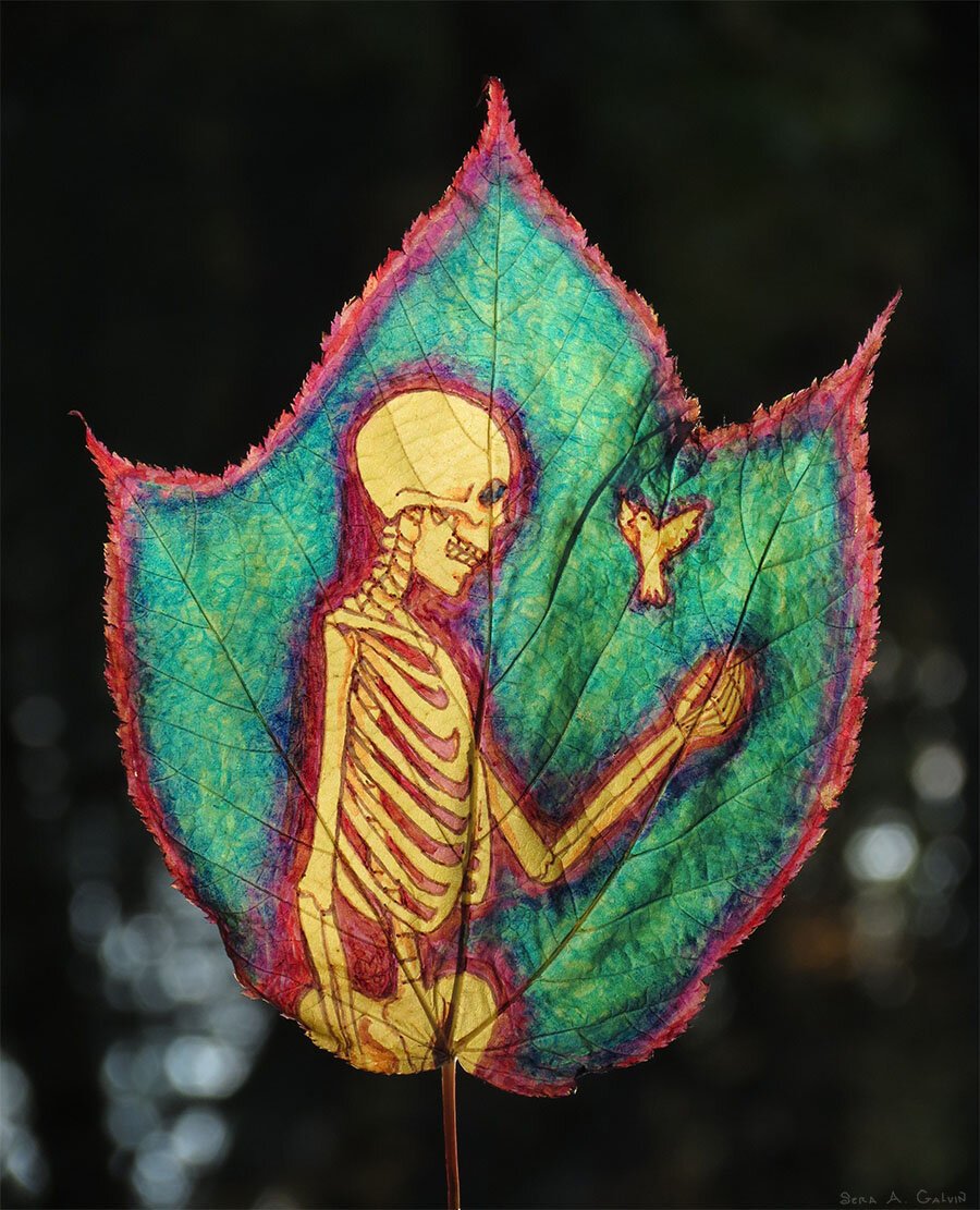 A human skeleton reaching toward a small bird, drawn on a teal-and-red striped maple leaf against dark water bokeh, by Sera Autumn