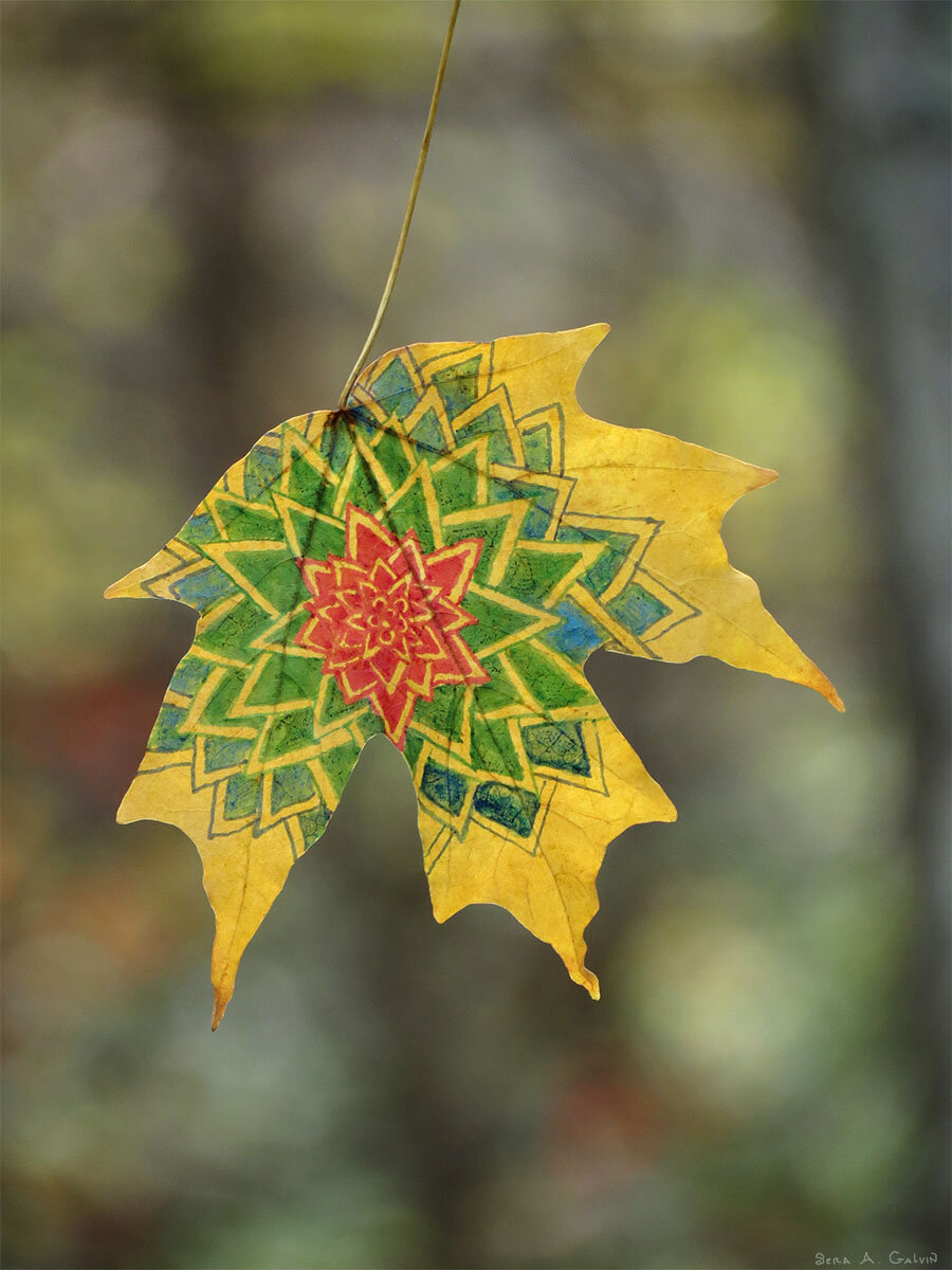 A geometric mandala of a cactus with green, blue, and red concentric star points radiating from a central flower, drawn on a golden maple leaf, by Sera Autumn