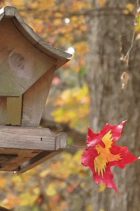 A golden-yellow bird with spread wings drawn on a red maple leaf, hanging beside a wooden birdhouse, by Sera Autumn