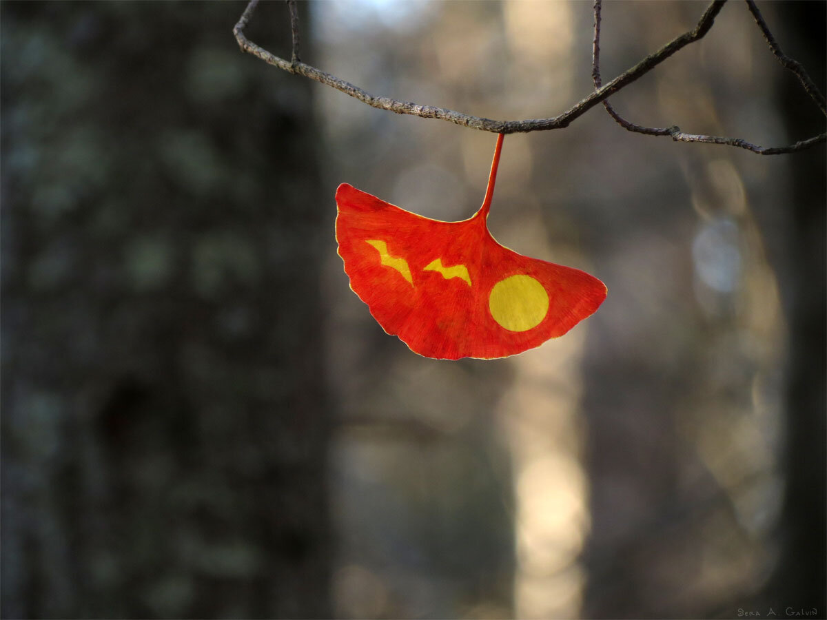 A yellow moon and two bats drawn on a red ginkgo leaf hanging from a twig in blurred woods, by Sera Autumn
