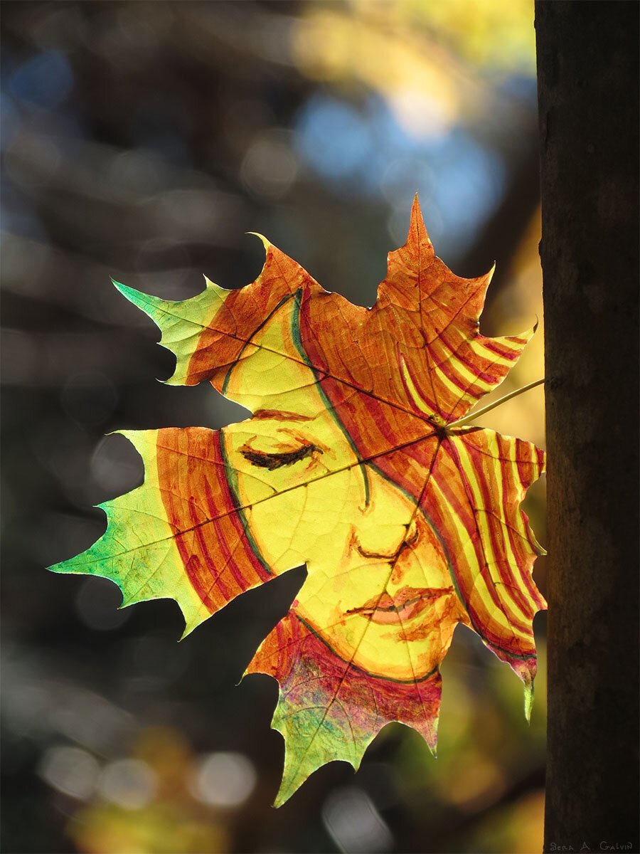 A woman's face with closed eyes and flowing striped hair drawn on a golden maple leaf against dark bokeh, by Sera Autumn