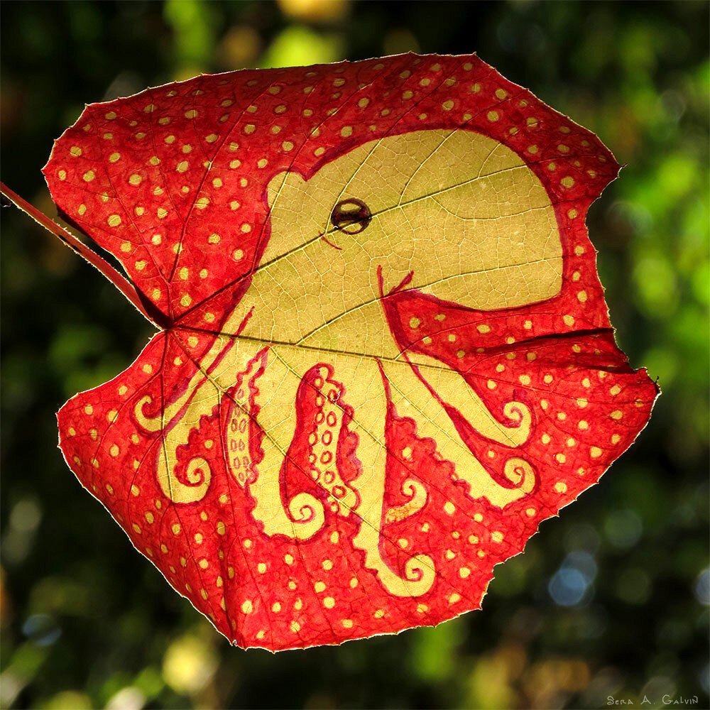 A curling-tentacled octopus in negative space on a red grape leaf dotted with yellow, backlit against green forest bokeh, by Sera Autumn