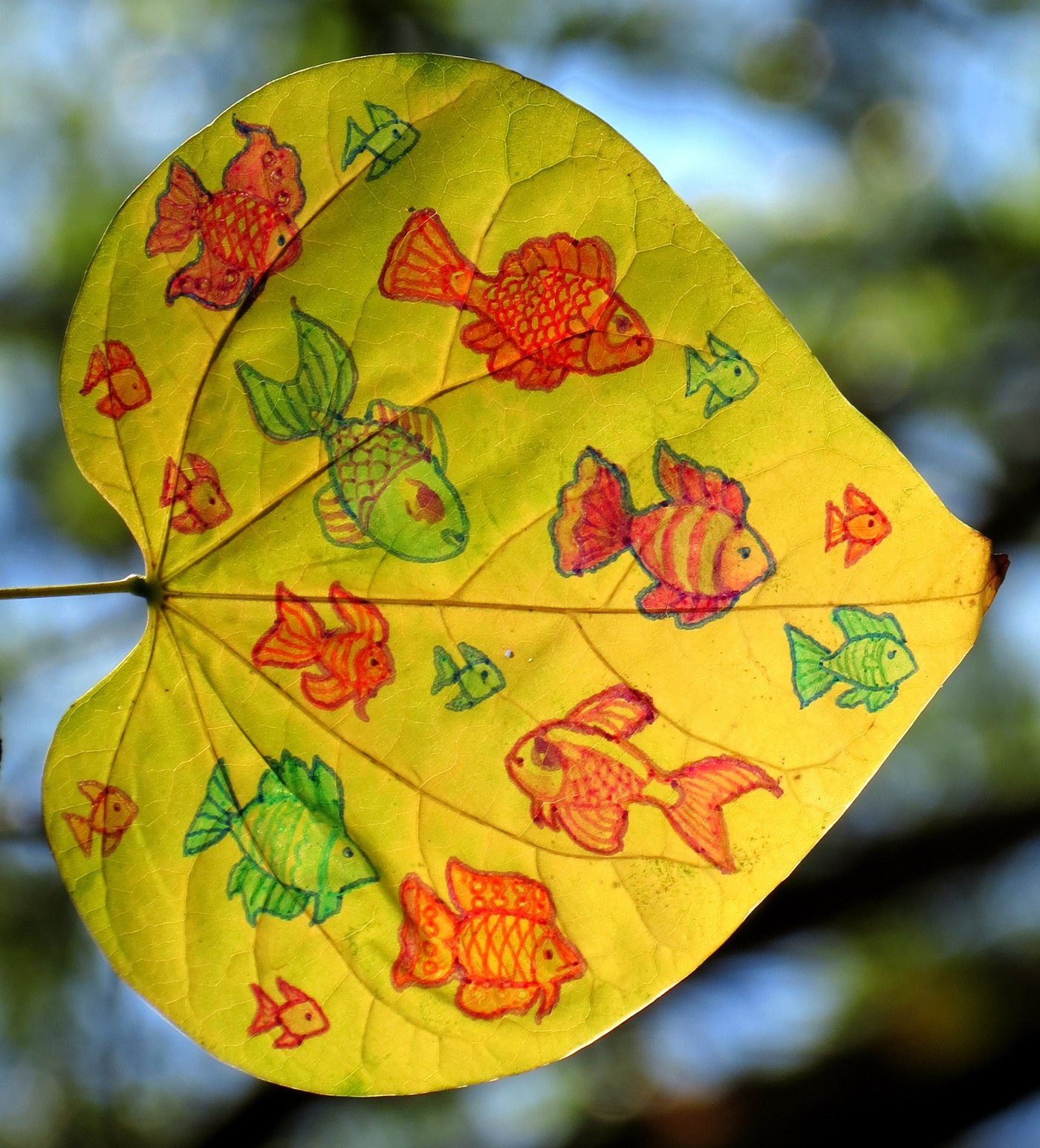 Many colorful goldfish in red, orange, and green swimming across a heart-shaped yellow leaf against blue-sky bokeh, by Sera Autumn