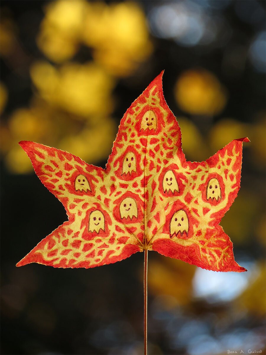 Eight little cartoon ghosts with different faces peeking from a mottled red-and-yellow sweetgum leaf against golden autumn bokeh, by Sera Autumn