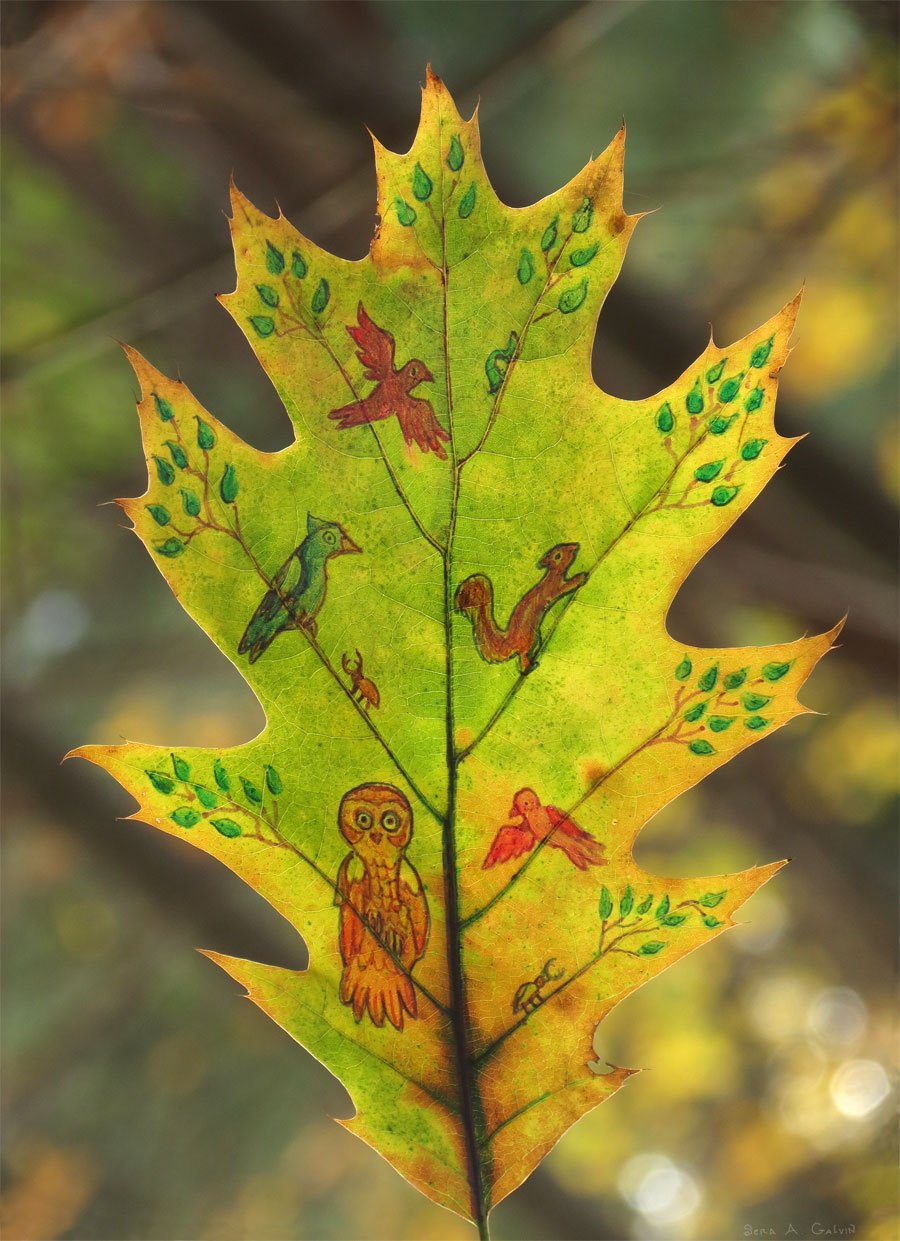 A woodland of tiny drawn birds, an owl, and a squirrel among leafy branches on a green-and-gold oak leaf, by Sera Autumn