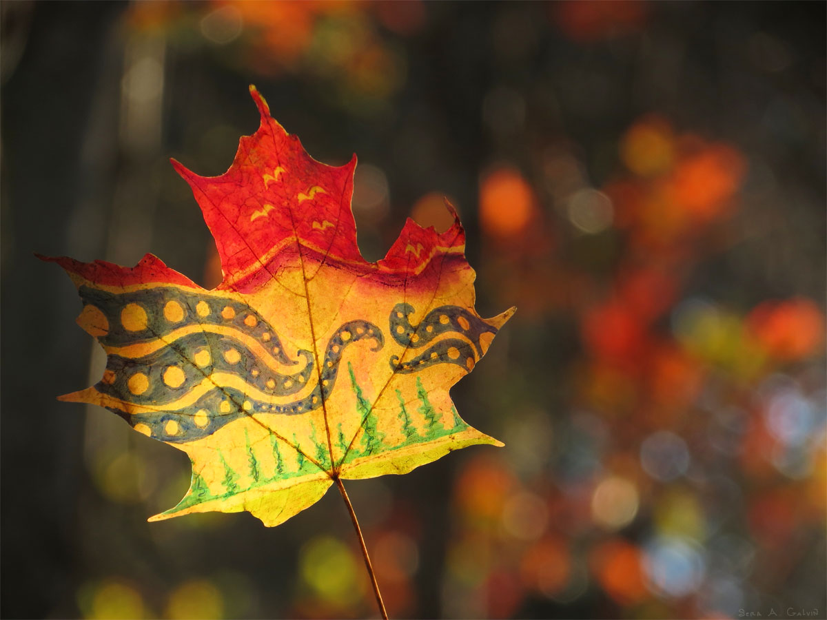 Abstract dark-blue paisley swirls with dots and little green pine trees on a red-and-gold maple leaf backlit against warm autumn bokeh, by Sera Autumn
