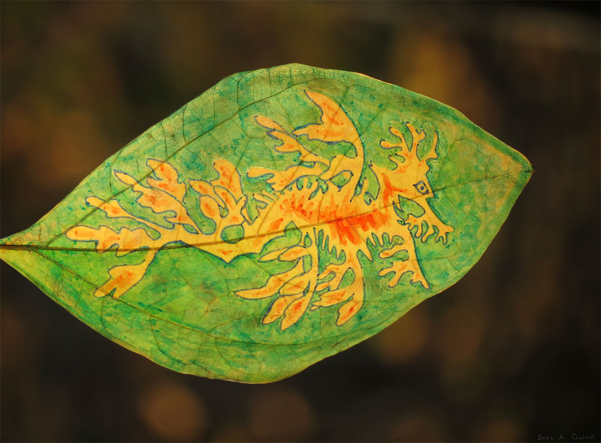 A camouflaged leafy sea dragon drawn in yellow and orange on a green leaf against dark brown bokeh, by Sera Autumn