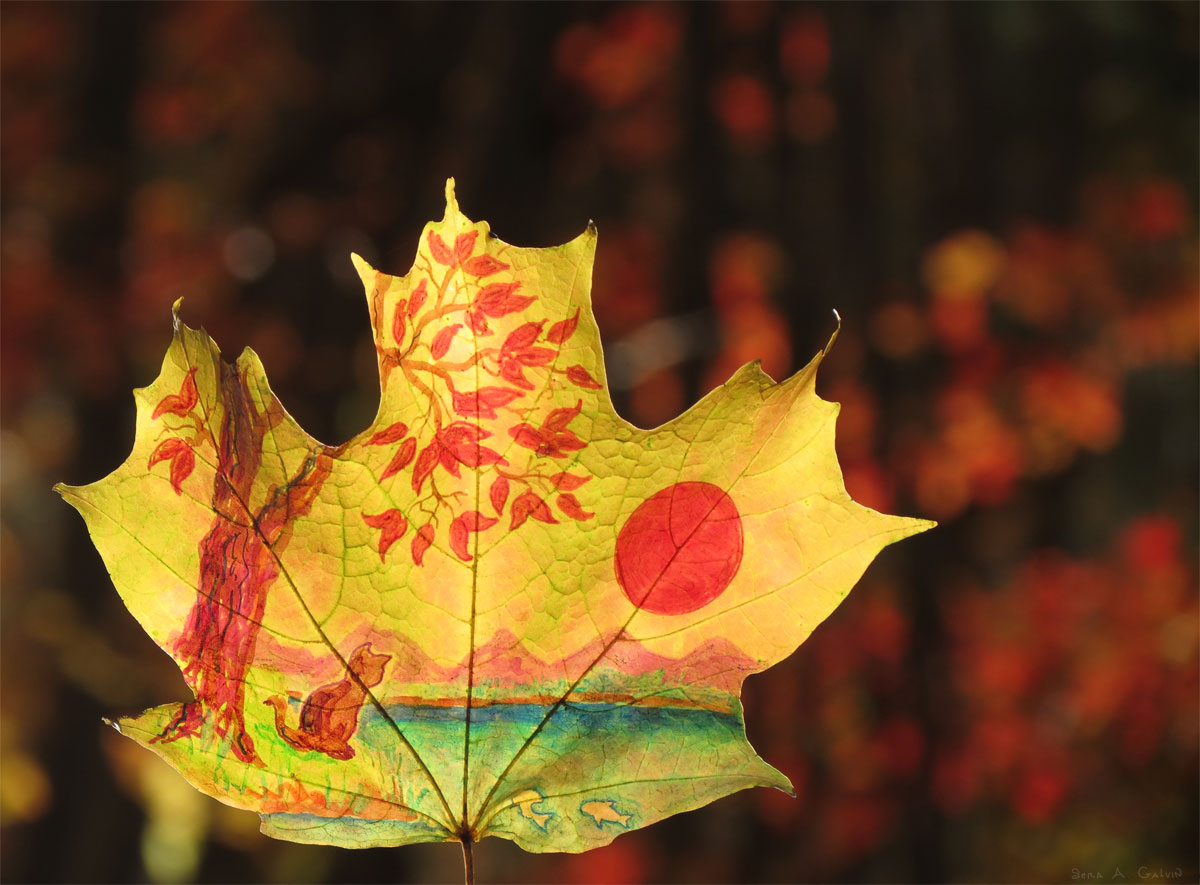 An orange cat by a lake beneath a red autumn tree and large red sun, drawn on a golden maple leaf, by Sera Autumn