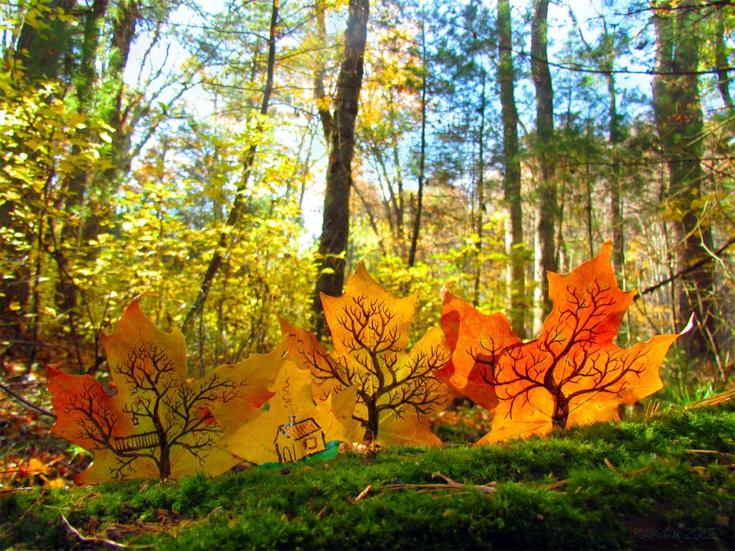 Several autumn maple leaves drawn with bare winding trees and a small house, standing on green moss in a sunlit forest, by Sera Autumn