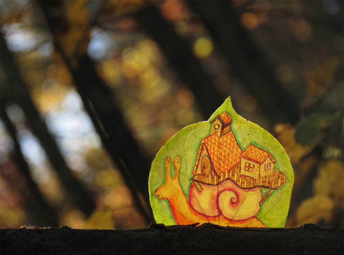 A snail carrying tiny houses on its shell drawn on a green leaf, backlit against golden forest bokeh, by Sera Autumn