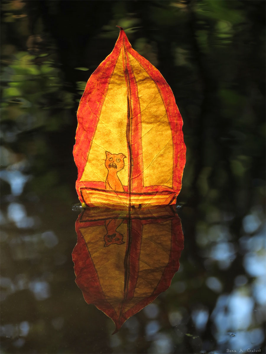A wide-eyed orange cat riding a little boat, drawn on a red-edged leaf mirrored in dark water, by Sera Autumn