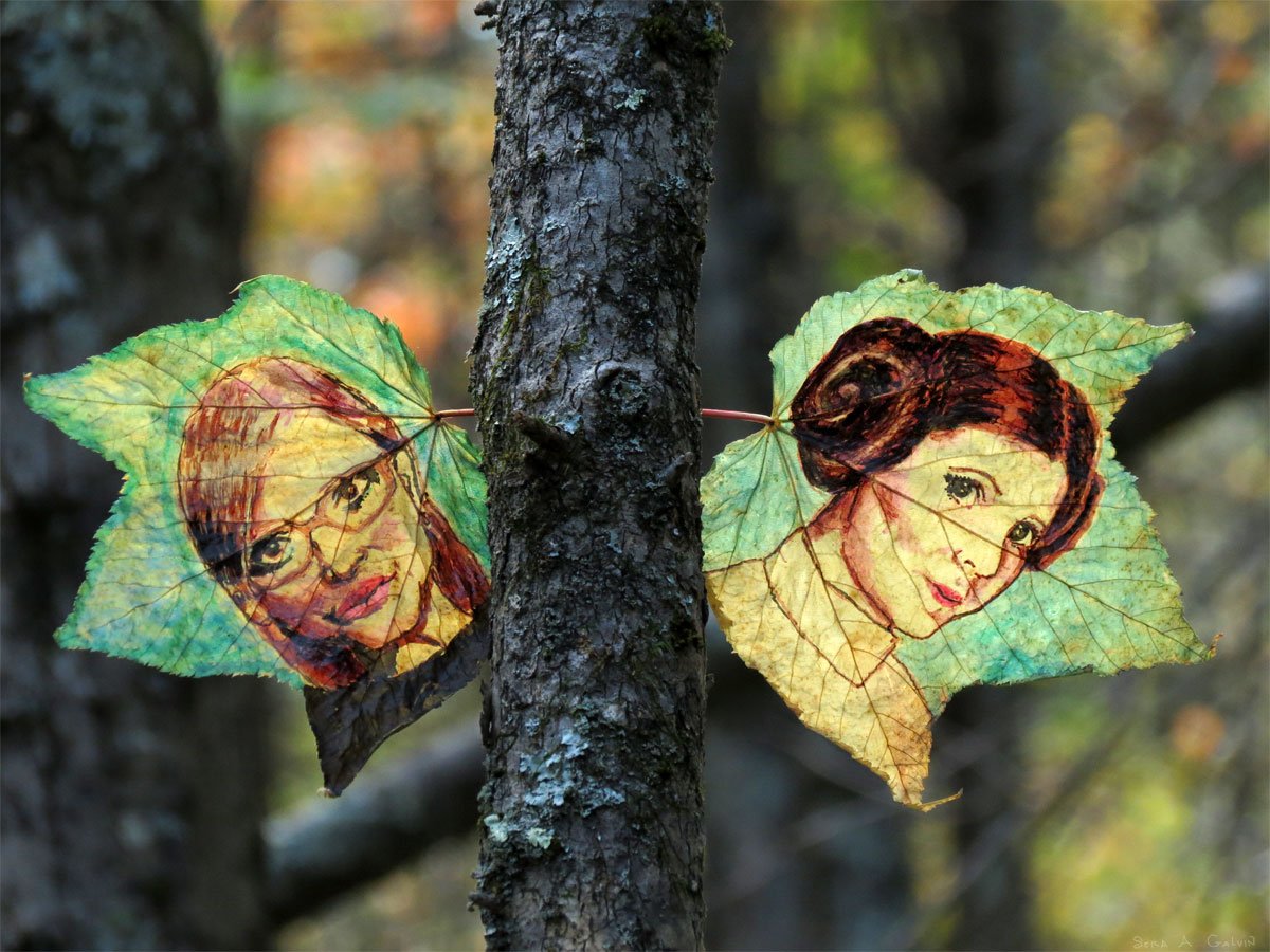 Two leaves on a tree trunk, one Carrie Fisher and the other Carrie Fisher as Princess Leia, by Sera Autumn
