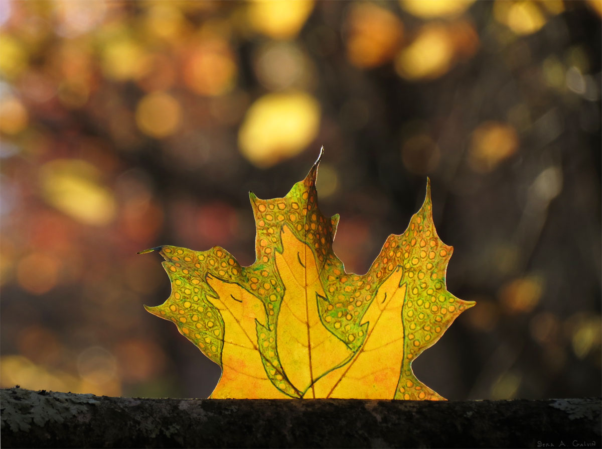 Three singing foxes with heads raised in song drawn on a yellow-green maple leaf, backlit by golden autumn bokeh, by Sera Autumn