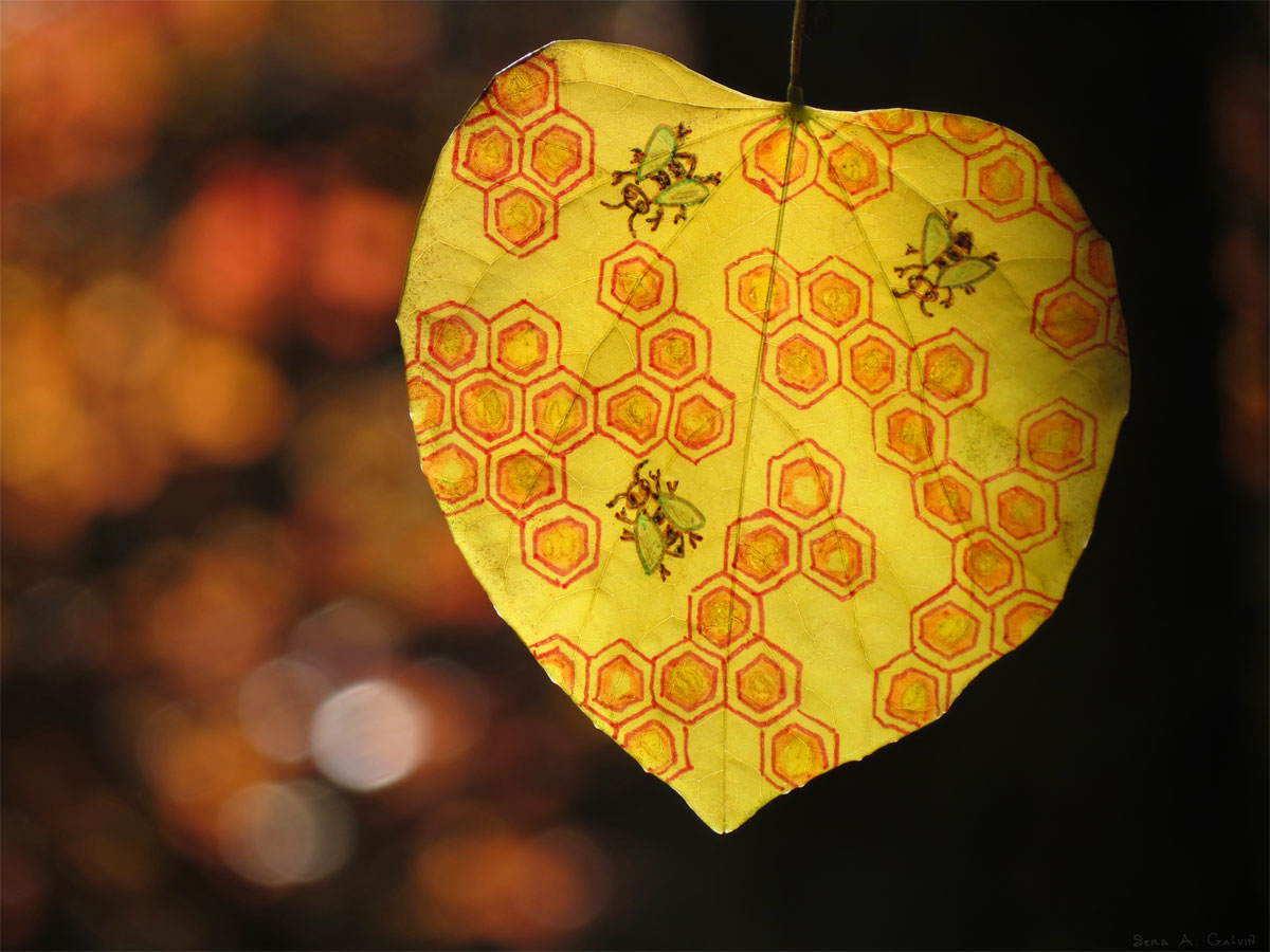 Three bees on a yellow honeycomb pattern drawn across a heart-shaped leaf, against dark orange bokeh, by Sera Autumn